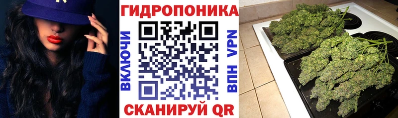 Купить ГАШ  КОКАИН  A-PVP  МЕФ  Власиха