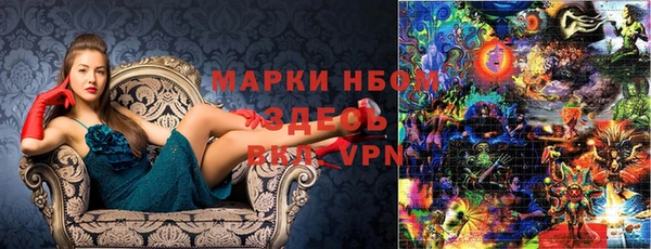 ПСИЛОЦИБИНОВЫЕ ГРИБЫ Слюдянка