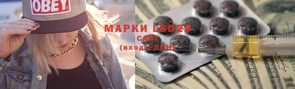 ПСИЛОЦИБИНОВЫЕ ГРИБЫ Слюдянка