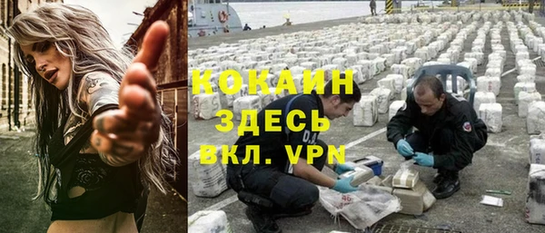 ПСИЛОЦИБИНОВЫЕ ГРИБЫ Слюдянка